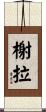 Shela Scroll