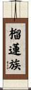 榴蓮族 Scroll