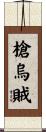 槍烏賊 Scroll