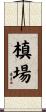 槙場 Scroll