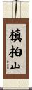 槙柏山 Scroll