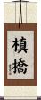 槙橋 Scroll