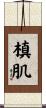 槙肌 Scroll