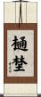 樋埜 Scroll