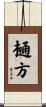 樋方 Scroll