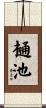 樋池 Scroll