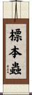 標本蟲 Scroll
