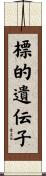 標的遺伝子 Scroll