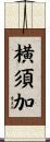 横須加 Scroll