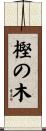 樫の木 Scroll