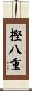 樫八重 Scroll