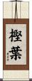 樫葉 Scroll