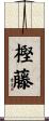樫藤 Scroll