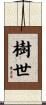 樹世 Scroll
