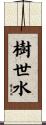 樹世水 Scroll