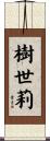 樹世莉 Scroll