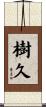 樹久 Scroll