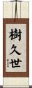 樹久世 Scroll