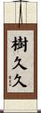 樹久久 Scroll