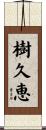 樹久恵 Scroll