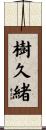 樹久緒 Scroll