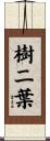 樹二葉 Scroll