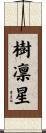 樹凛星 Scroll
