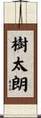 樹太朗 Scroll