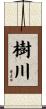 樹川 Scroll