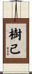 樹己 Scroll