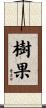 樹果 Scroll