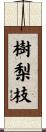 樹梨枝 Scroll