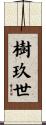 樹玖世 Scroll