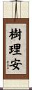樹理安 Scroll