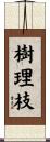 樹理枝 Scroll