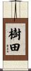 樹田 Scroll