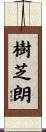 樹芝朗 Scroll