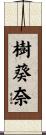 樹葵奈 Scroll