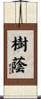 樹蔭 Scroll