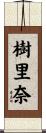 樹里奈 Scroll
