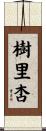 樹里杏 Scroll