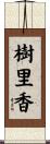 樹里香 Scroll