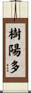 樹陽多 Scroll