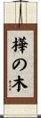 樺の木 Scroll