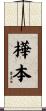 樺本 Scroll