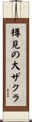 樽見の大ザクラ Scroll