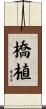 橋植 Scroll