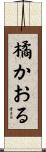 橘かおる Scroll