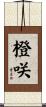 橙咲 Scroll