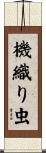 機織り虫 Scroll